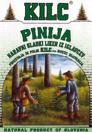 Pinija